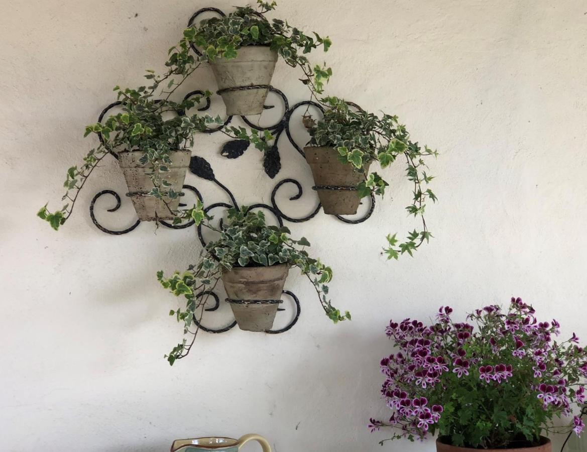 Flamarens Maison Lamothe المظهر الخارجي الصورة